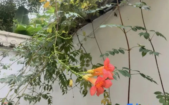 Yichun Xiyuan Linshe Homestay