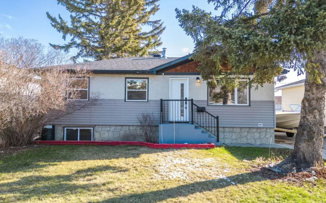 The Owl Petsok 3 Queenbd Firepit 3smarttvs