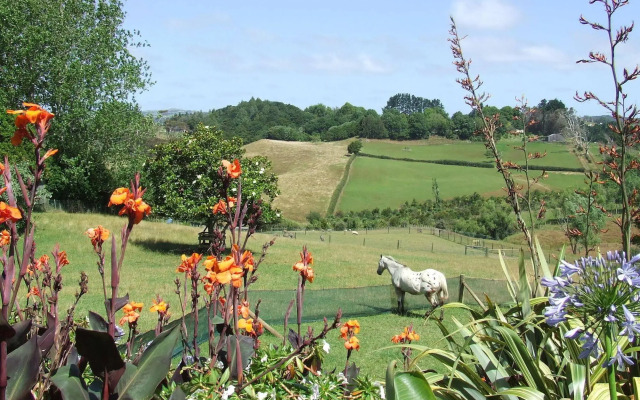 Runciman Berries and Emus B&B