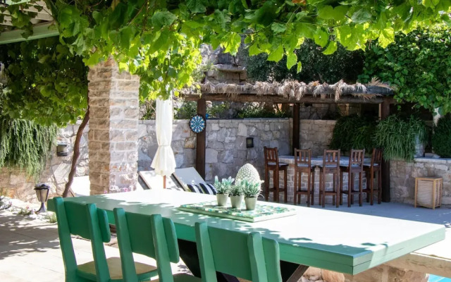 Authentic Dalmatian Treasure Homes