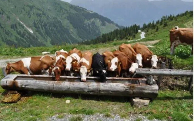 Tofererhof