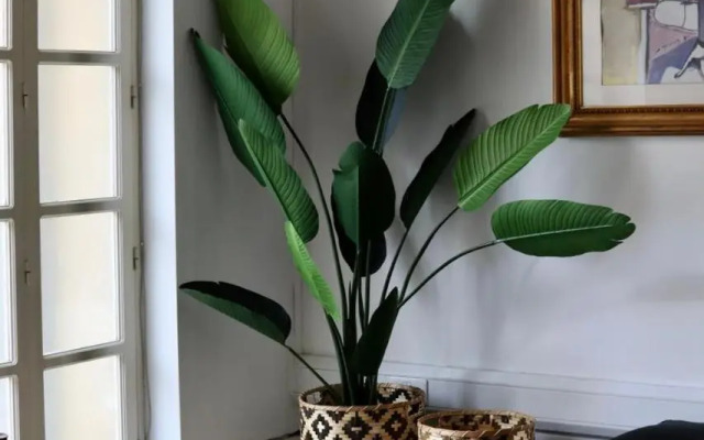 Unique and Renovated House Down Town Nicosia - Old City