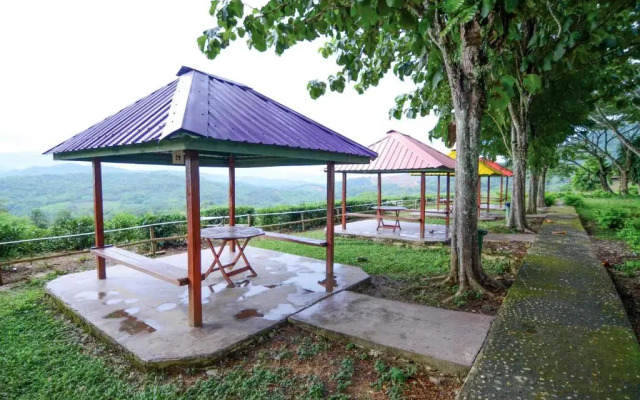 Sabah Tea Garden @ Cottages
