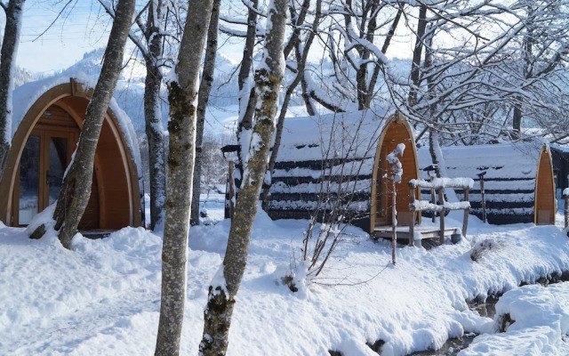 Forellensee Gstaad-Zweisimmen