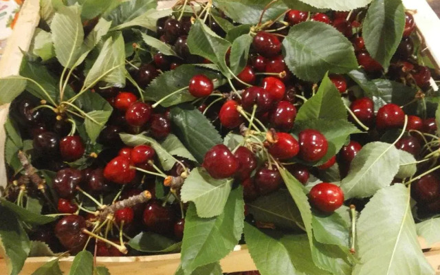 Home for Creativity - Coliving Calabria