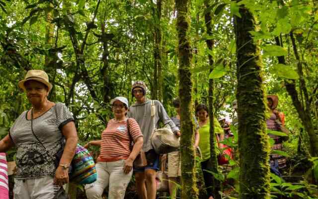 Termales del Bosque & Hot Springs