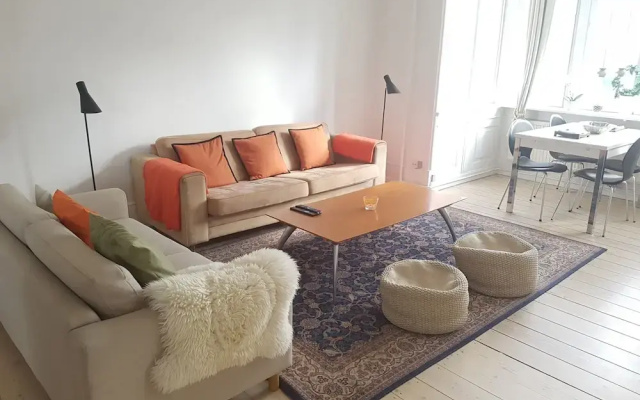 Classic Copenhagen City Apartment