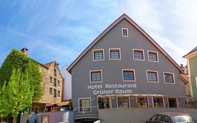 Hotel Restaurant Grüner Baum und Altes Tor