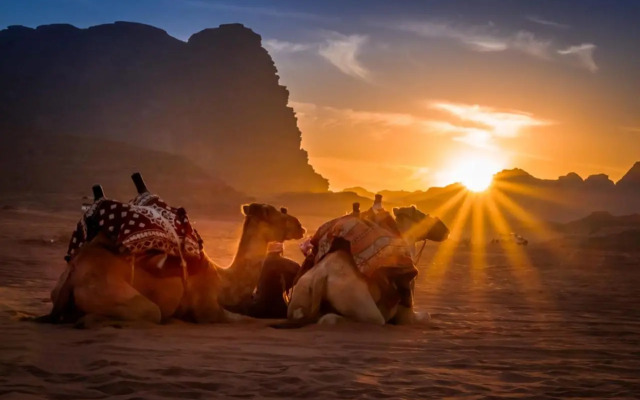 Wadi Rum Hostel and Climbing Stay