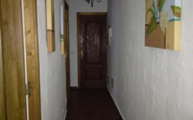 Apartamentos Trebol