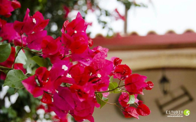 Hotel Rural Molino la Boticaria