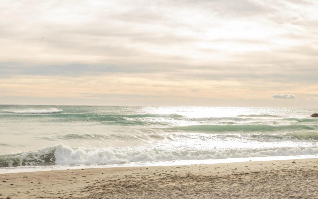 Comfortable Studio Apt