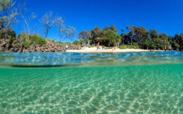 Big Love - Byron Bay Hinterland