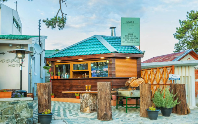 Troodos Hotel