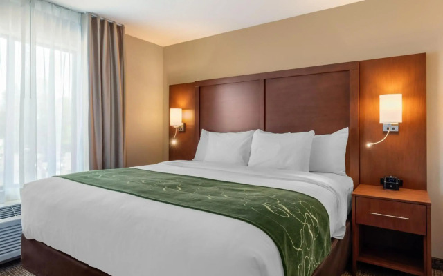 Comfort Inn & Suites Schenectady - Scotia