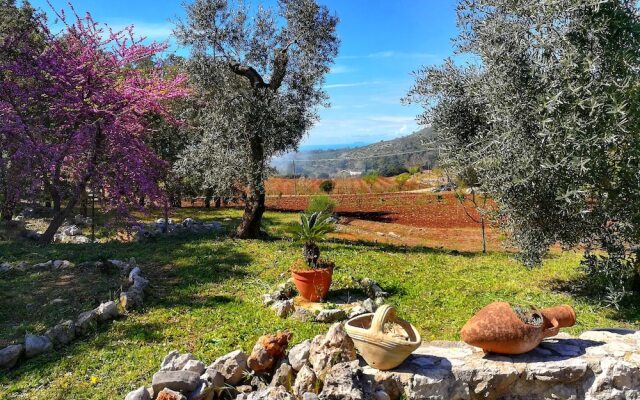 Villa Cycas Relaxation in Nature