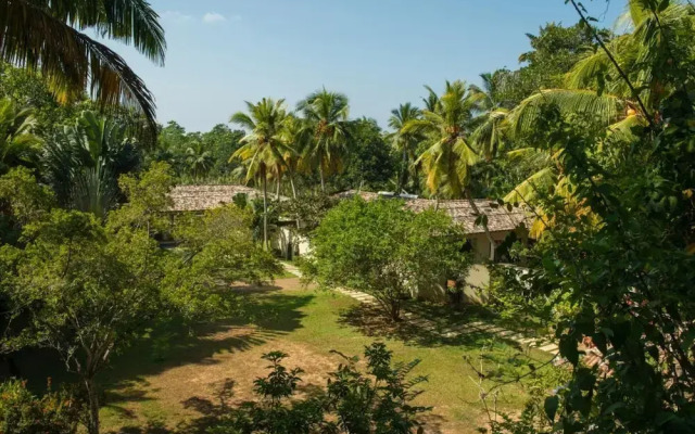 Modern Luxury 03 Bedroom Villa