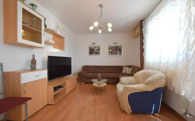 Apartment Micetic