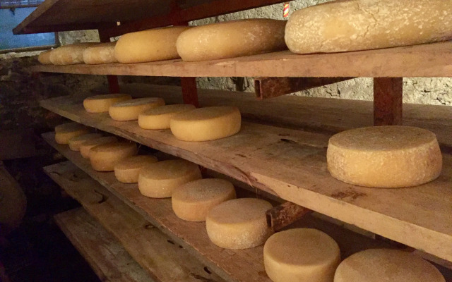 Agriturismo Ca di Racc