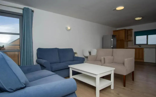 Dromroe Village University of Limerick