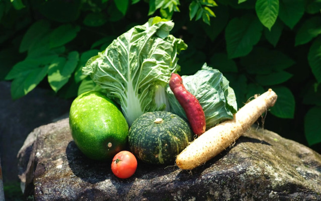 Yuzawa New Otani Hotel