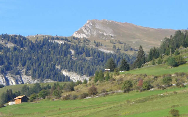 Apart Bauernhof Rosenhof