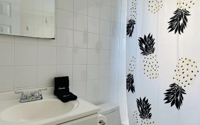 The Vic by Plenamar!