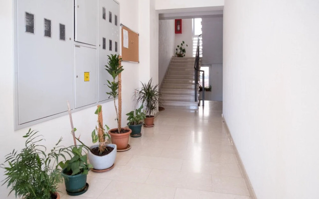 Apartment Filip