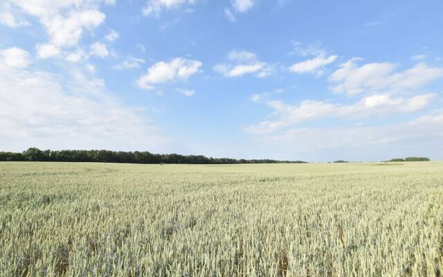 Wohnung in Dargun mit Pool und Streichelzoo