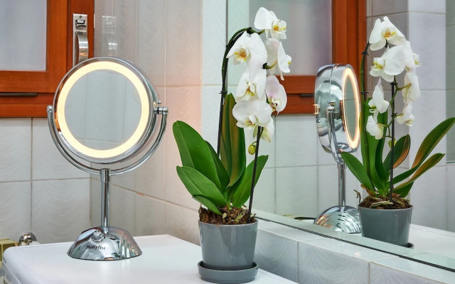 Anastasio II apartment