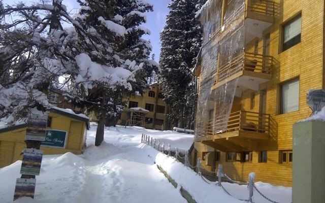 Hotel Pine Spring Gulmarg