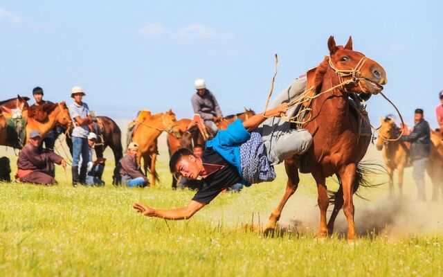 Mongolian Vision Tours - Hostel