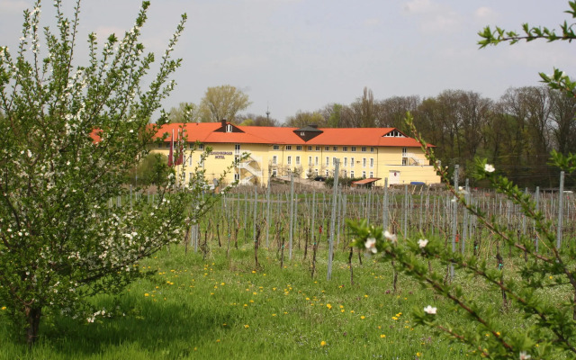 MAXX by Steigenberger Deidesheim