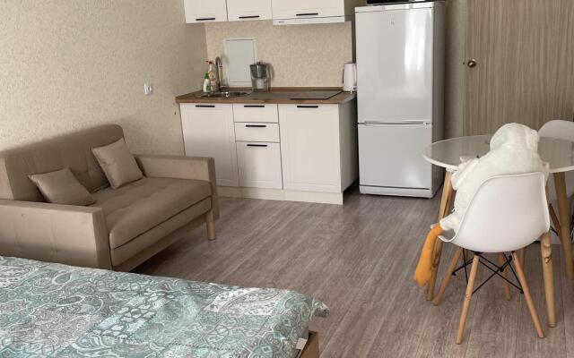 Apartments on Lenin str 243