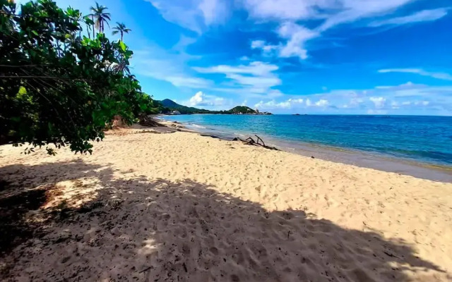 Magic Greeen Tayrona