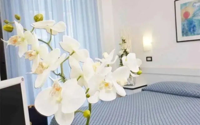 Hotel Elite