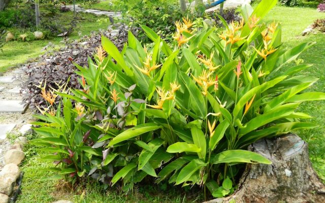 Dlaaya Luxury Villas