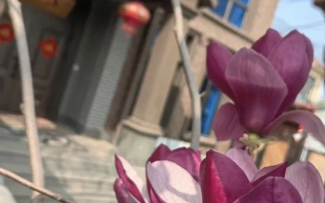 Shuianxiangju Boutique Homestay