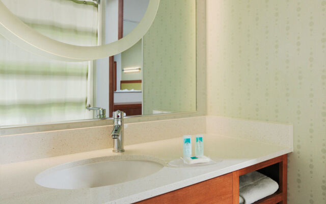 SpringHill Suites Ashburn Dulles North
