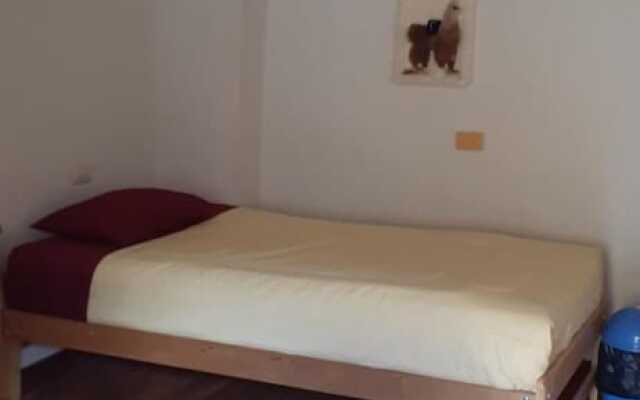 The Grasshopper Hostels AV Alta