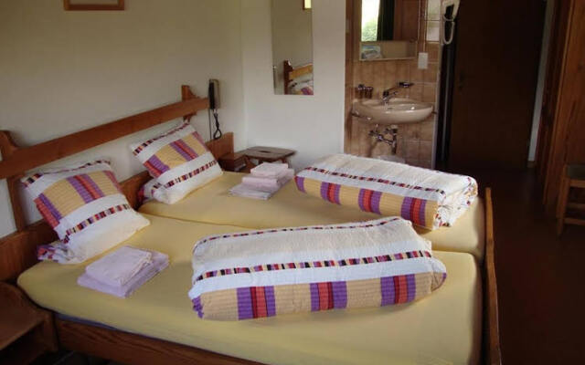Hotel Walser