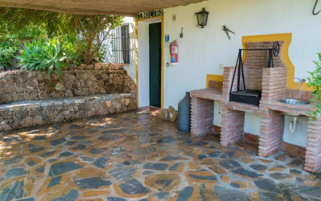 OLIVO Finca La Raja