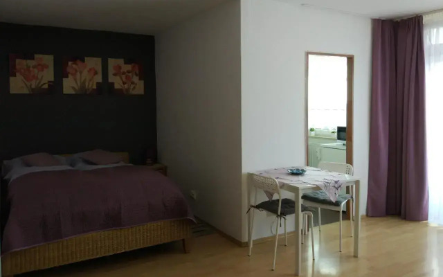 HAUSBURG studio. City view
