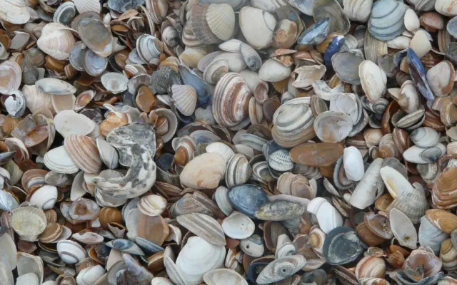 Appartement, Kaap 123 - Ameland