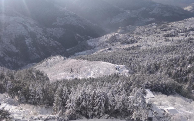 Hill Top Resorts Narkanda