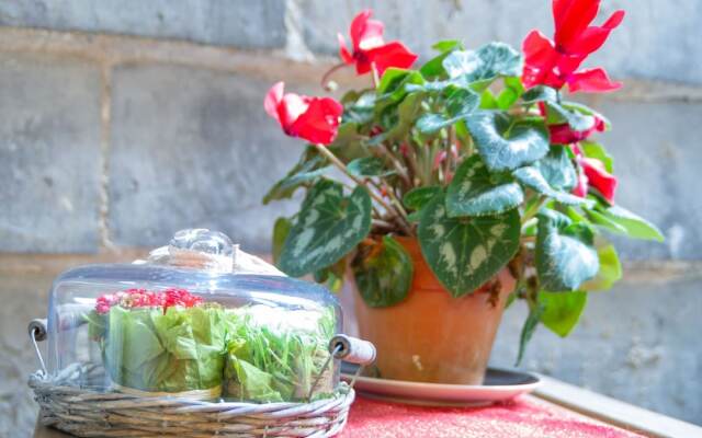 Picturesque Apartment in Genova With Balcony