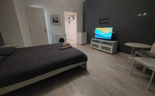 Tudor Apartment Universitate