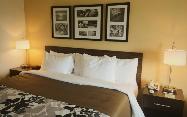 Sleep Inn & Suites Carlsbad Caverns Area