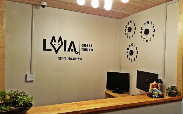 LVIA Guesthouse - Hostel