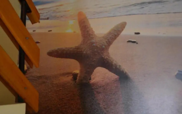 Stella Del Mare Guest House